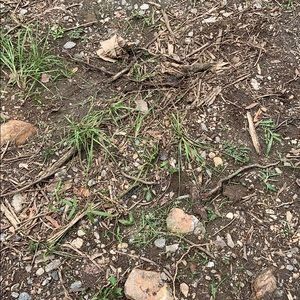 Meet your Posher, Emmanuel